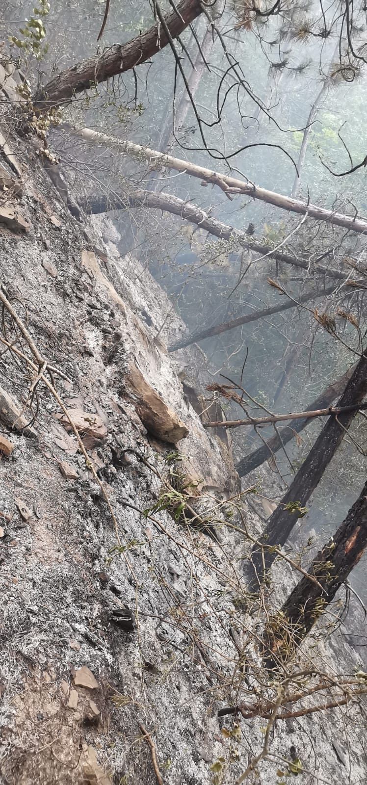 Update Incendiu pe 10 hectare la litieră pe teritoriul comunei