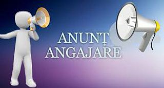 Oferte
