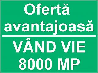 Vânzări terenuri