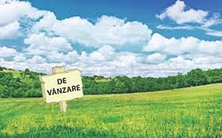 Vânzări terenuri