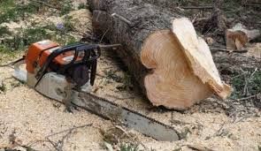 Accident cu drujba în Slobozia Bradului