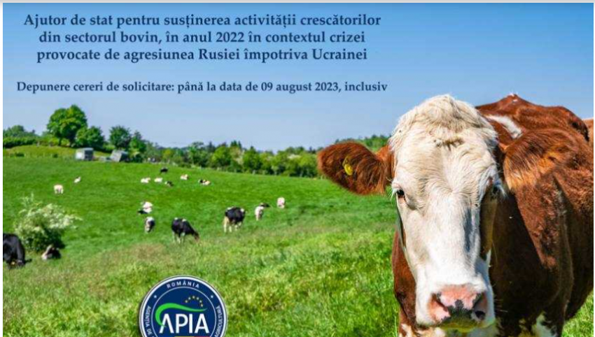Foto:arhiva ZdV.Credit foto:anchetaonline.ro