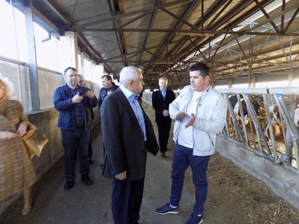 Fermierul Viorel Macovei din Țifești căruia Autostrada A7 pe traseul Focșani-Bacău îi va distruge afacerea, într-o discuție pe care-o purta în anul 2018 cu ministrul agriculturii de la acea vreme , Petre Daea venit în vizită la ferma din Țifești.   