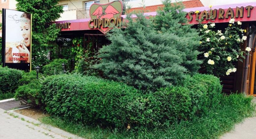 Fostul sediul FSN Vrancea,  situat pe Bulevardul Independenței din Focșani, actualul restaurant Cupidon.