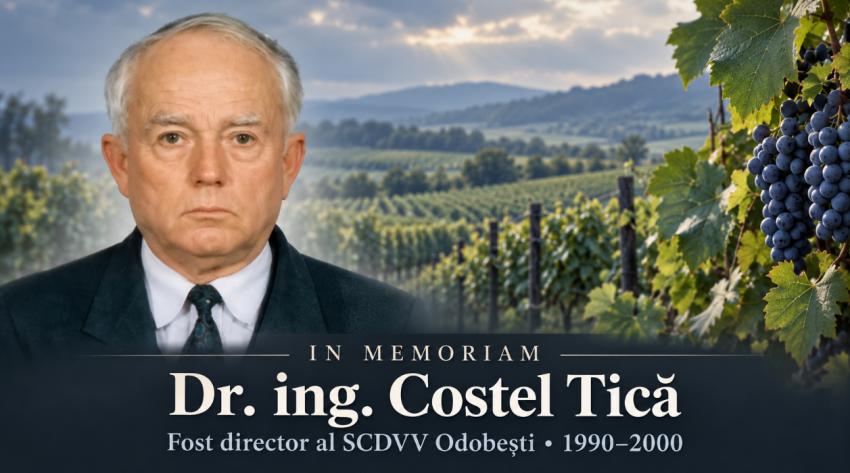 In memoriam dr. ing. Costel Tică, fost director al SCDVV Odobești în perioada 1990–2000. Colaj cu fundal ilustrativ.