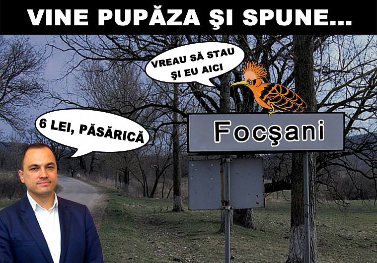 Fotografie preluată de pe contul de facebook TNL Vrancea