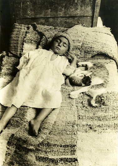 Copil dormind alături de pisici.Fotograf: Iosif Berman Instituția de proveniență: Muzeul Național al Satului Dimitrie Gusti - București