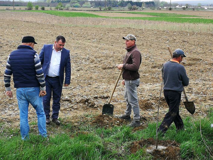 Foto: Primarul a supervizat lucrările de plantare