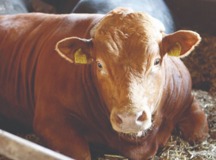 Foto:arhiva ZdV.Credit foto:provincial.md