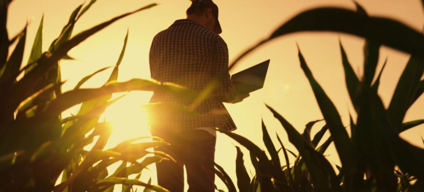 Foto:arhiva ZdV.Credit foto:agro.basf.ro