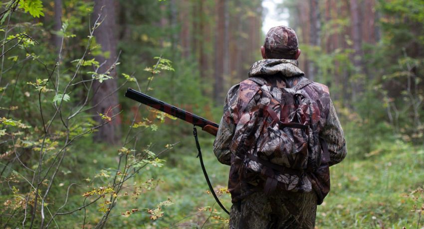 Foto:arhiva ZdV credit foto:Gazeta de Sud