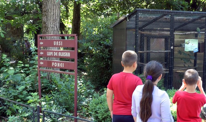 Foto: Grădina Zoologică a fost o adevărată provocare
