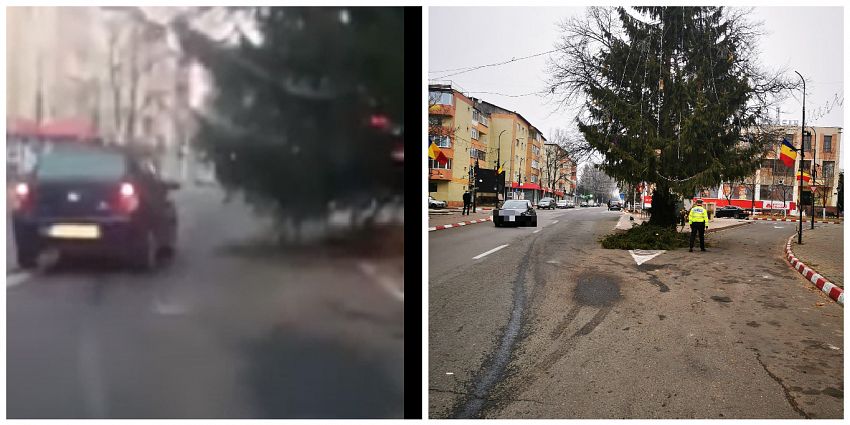 Bradul instalat duminică 5 decembrie 2021, în zona intersecției străzilor Nicolae Titulescu și Ciprian Porumbescu, din orașul Panciu, înainte( foto stânga) și după ( foto dreapta) intervenția polițiștilor de la IPJ Vrancea dar și după ce știrea a făcut turul știrilor televiziunilor centrale 