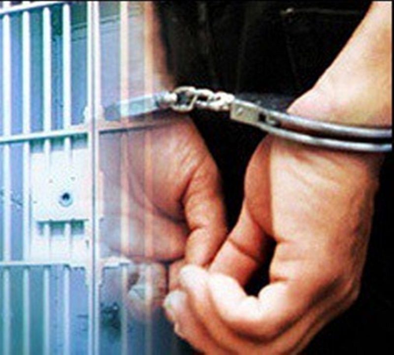 Exploatare forestieră ilegală în Vrancea: administrator din Nereju, reținut după tăierea și sustragerea a peste 260 de metri cubi de lemn