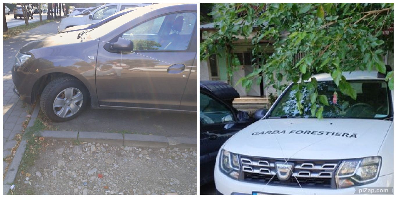 În plină toamnă, o nouă dezinsecţie în Galaţi
