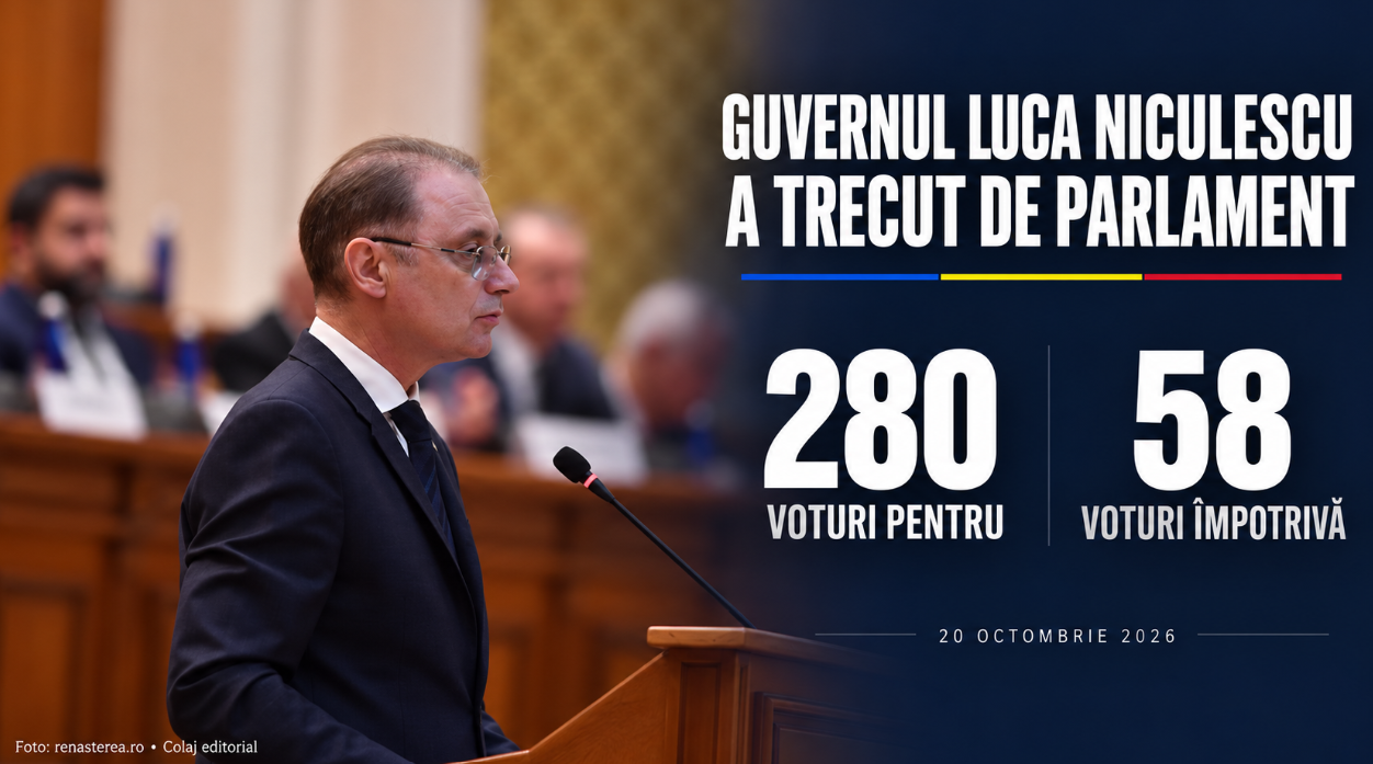 Controale la lemnarii din zona Dornei: 82 de sancțiuni, peste 74.000 de lei amenzi și 20,9 metri cubi de lemn confiscat