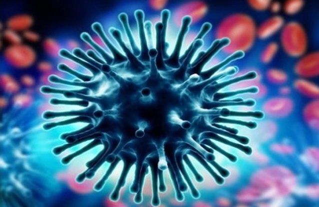 Influenza: Symptoms, Transmission, Treatment, and Prevention