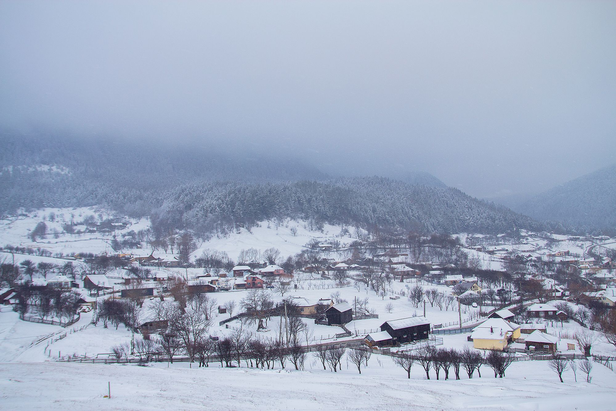 VIDEO + Foto | Imagini înregistrate și fotografii superbe cu iarna în ...