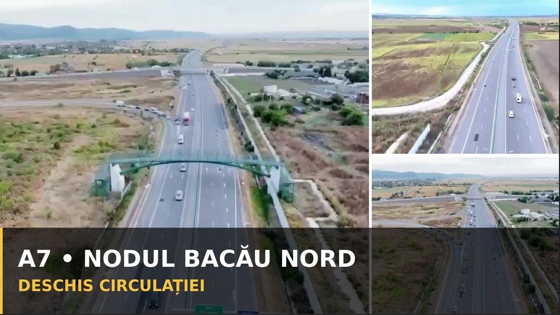În plină toamnă, o nouă dezinsecţie în Galaţi
