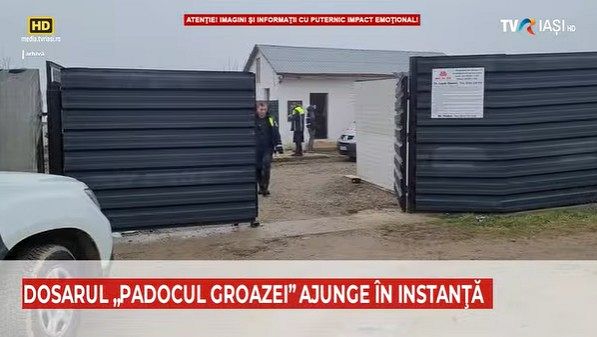VIDEO | Dosarul „Padocul groazei” de la Suraia ajunge în instanță