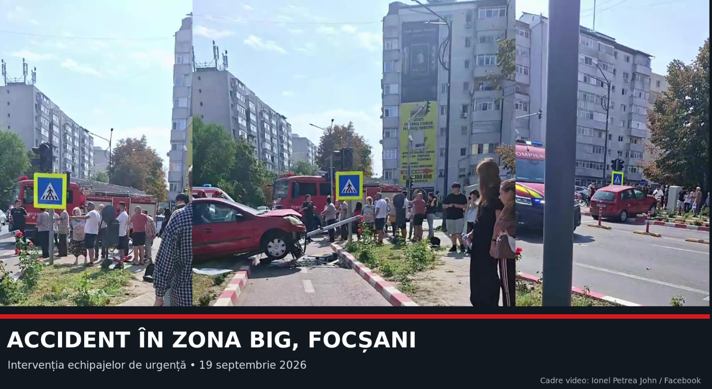 Controale la lemnarii din zona Dornei: 82 de sancțiuni, peste 74.000 de lei amenzi și 20,9 metri cubi de lemn confiscat