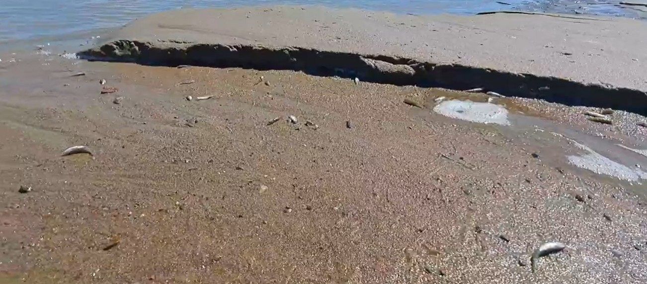 VIDEO | Semnal de alarmă pe Siret, în Vrancea