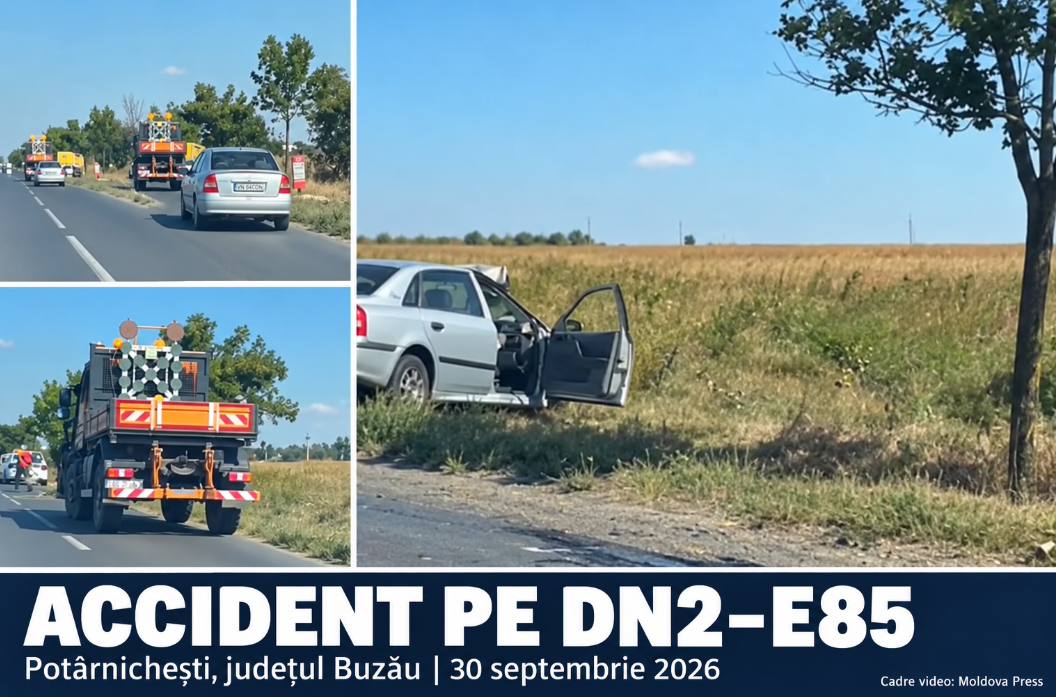 Controale la lemnarii din zona Dornei: 82 de sancțiuni, peste 74.000 de lei amenzi și 20,9 metri cubi de lemn confiscat